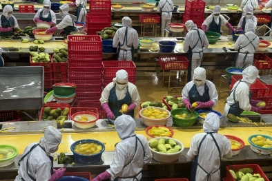 Thị trường nông sản Việt Nam 6 tháng đầu năm, dự báo năm 2025: Đề xuất giải pháp phát triển bền vững