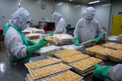 Ứng dụng công nghệ và quản lý chất lượng toàn diện vào ngành nông nghiệp