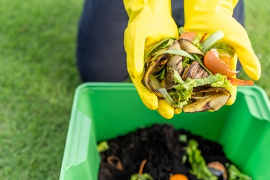 Tiêu chuẩn ASTM mới cho sản phẩm có thể phân hủy 