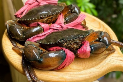 Xuất khẩu cua ghẹ Việt Nam lập đỉnh nhờ chất lượng cao, tiến vào thị trường khó tính