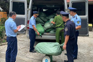 Cao Bằng: Tình trạng vận chuyển lá thuốc lá nhập lậu qua tuyến biên giới vẫn còn dai dẳng