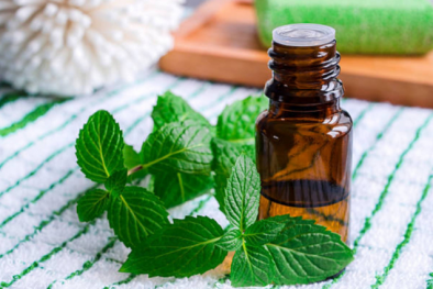 Chuyên gia Nhật Bản lưu ý nên cẩn trọng với cảm giác ‘mát ảo’ khi dùng tinh dầu bạc hà