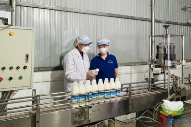 Cơ hội cho Việt Nam thu hẹp khoảng cách về năng suất chất lượng với các quốc gia khác