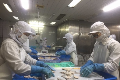 Quảng Ninh đồng hành cùng doanh nghiệp nâng cao năng suất, chất lượng