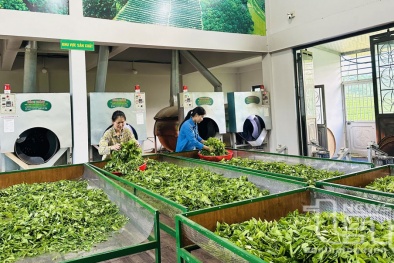 Đổi mới sáng tạo – chìa khóa nâng cao năng suất kinh tế Thái Nguyên