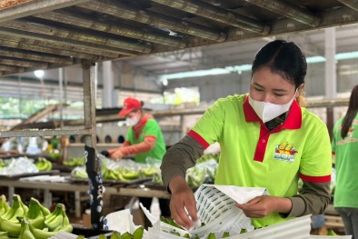 Thị trường nội địa: 'Điểm thử' chất lượng hàng Việt