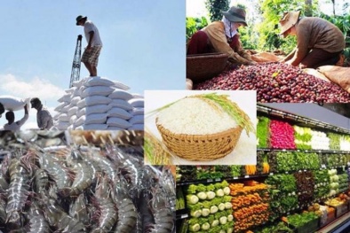 Gỡ rào cản xuất khẩu nông sản bằng tiêu chuẩn quốc tế và động lực thị trường