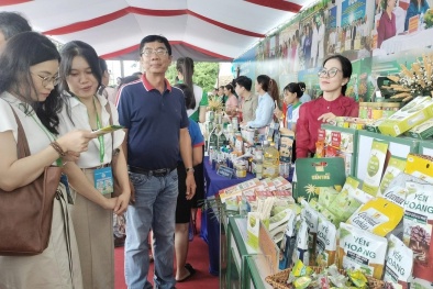 Phát triển sản phẩm xanh đáp ứng tiêu chuẩn gắn với liên kết chuỗi giá trị bền vững tại Vĩnh Long