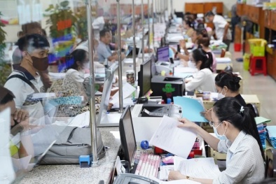 Đồng Tháp: Triển khai hiệu quả mô hình chính quyền hai cấp trong lĩnh vực khoa học công nghệ 