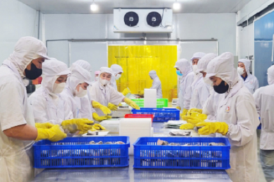 Cần Thơ thúc đẩy doanh nghiệp bứt phá năng suất, nâng tầm chất lượng