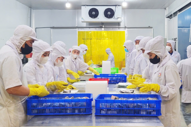 Cần Thơ: Tăng cường công tác quản lý tiêu chuẩn đo lường chất lượng