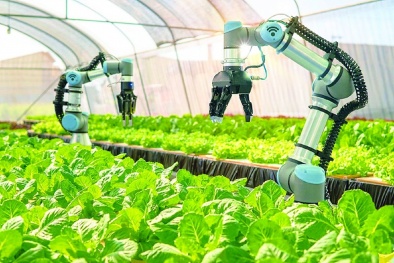 Tích hợp công cụ cải tiến tăng năng suất trong ngành nông nghiệp