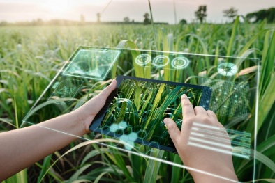 Ứng dụng trí tuệ nhân tạo mở ra hướng đi mới về năng suất cho nông nghiệp bền vững