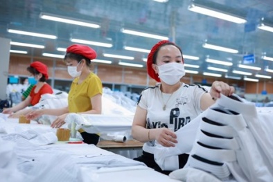 Tổ chức cuộc thi online tìm hiểu tiêu chuẩn chất lượng