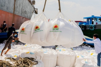 Bộ Công thương khuyến nghị doanh nghiệp xuất khẩu gạo chủ động tìm kiếm thị trường mới