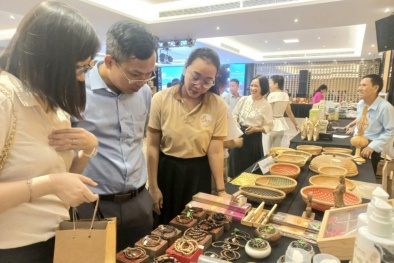 Thành phố Huế triển khai chương trình hỗ trợ doanh nghiệp nâng cao năng suất và chất lượng