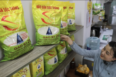 Bảo vệ tài sản trí tuệ tại doanh nghiệp