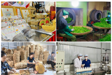 Doanh nghiệp bứt phá nhờ Chương trình 1322