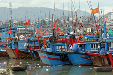 QCVN 92:2025/BNNMT về phân cấp và đóng tàu cá có chiều dài từ 12m đến dưới 24m