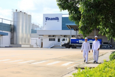 Vinamilk và bài học biến chi phí xanh thành sức mạnh thương hiệu