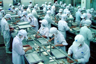 Sơn La triển khai nhiều giải pháp hỗ trợ doanh nghiệp nâng cao năng suất chất lượng