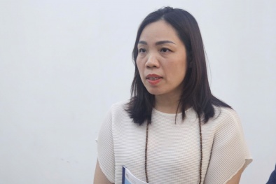 Sửa đổi chính sách thuế: Làm gì để người nộp thuế không bị rối giữa 'rừng thông tin'?