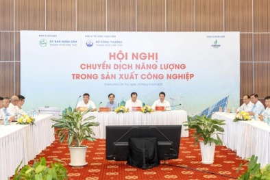 Kết nối chính quyền, doanh nghiệp và nhà đầu tư về định hướng phát triển thị trường năng lượng sạch 