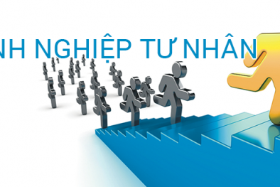 Doanh nghiệp tư nhân lớn mạnh thông qua thúc đẩy năng suất, chất lượng
