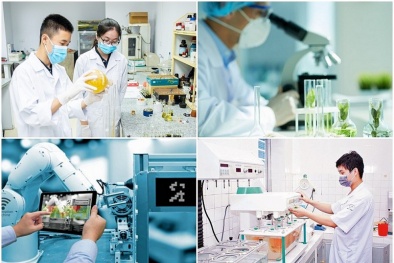 Đơn giản hóa thủ tục hành chính về tiêu chuẩn đo lường chất lượng, hoạt động khoa học và công nghệ