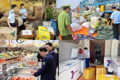 Cơ chế tài phán sở hữu trí tuệ trong bảo vệ đổi mới sáng tạo ở Việt Nam: Thực trạng và kiến nghị hoàn thiện