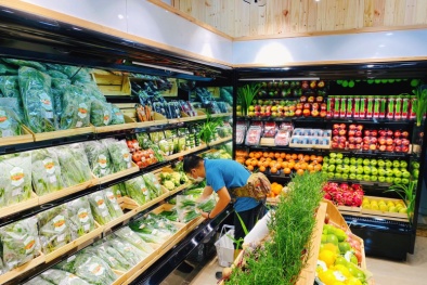 Doanh nghiệp chinh phục thị trường khó tính nhờ đạt chứng nhận hữu cơ