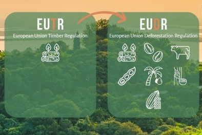 Châu âu tiếp tục hoãn áp dụng luật chống phá rừng EUDR vì lo ngại hệ thống công nghệ quá tải