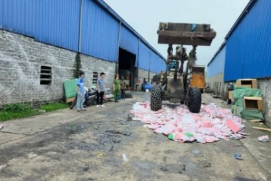 Nguy cơ tiềm ẩn từ đồ chơi trẻ em chứa hóa chất độc hại