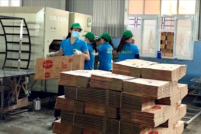 Gia Lai: Hàng chục DN được hỗ trợ áp dụng các hệ thống quản lý, công cụ cải tiến năng suất