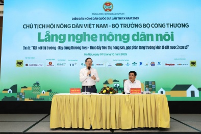 Nông sản Việt: Kết nối thị trường, xây dựng thương hiệu để bứt phá 