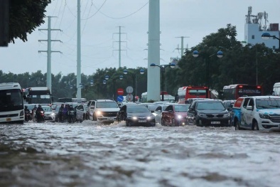 Yêu cầu khẩn trương tạm ứng, chi trả bồi thường cho người tham gia bảo hiểm bị ảnh hưởng bởi bão số 10