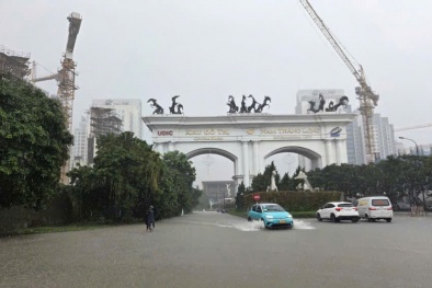 Hơn 357 tỷ đồng chi trả cho người và tài sản tham gia bảo hiểm bị ảnh hưởng bởi bão số 10 