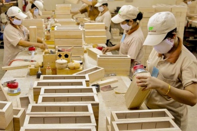 Đa dạng hóa thị trường xuất khẩu giúp ngành gỗ duy trì tăng trưởng bền vững