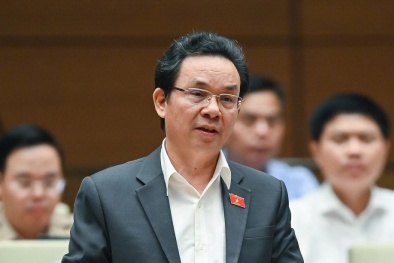 GS. TS Hoàng Văn Cường: Tăng trưởng và lạm phát giống như ‘hai anh em sinh đôi’