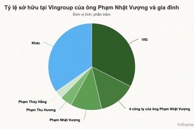 Ông Phạm Nhật Vượng muốn 'bơm' thêm 10.600 tỷ cho công ty điện