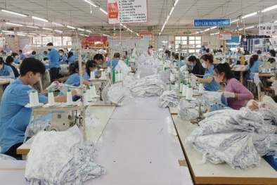 Thúc đẩy công nghiệp hỗ trợ: Hướng đi bền vững cho ngành dệt may Việt Nam