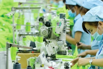 Xuất khẩu xanh - chìa khóa cho phát triển bền vững