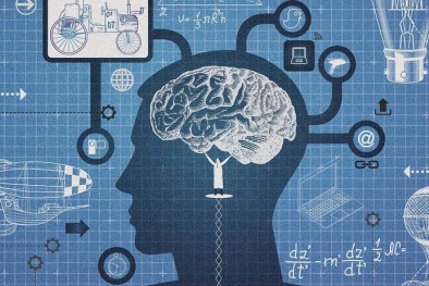 Bảo hộ quyền tác giả trong môi trường số ở Việt Nam: Thực trạng và giải pháp