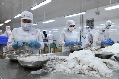 Cà Mau thúc đẩy doanh nghiệp sản xuất thông minh, nâng cao năng suất và chất lượng sản phẩm