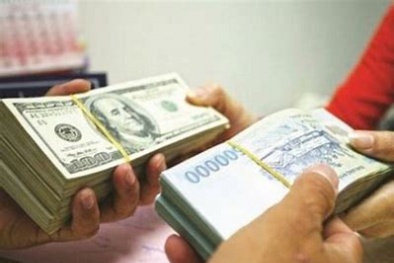Giá đô la Mỹ tăng, diễn biến ngược chiều với giá thế giới