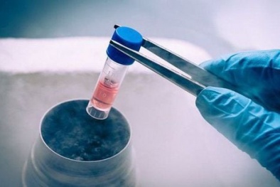 Sớm ban hành tiêu chuẩn đối với tế bào và sản phẩm tế bào