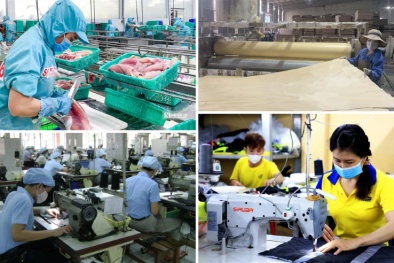 Đột phá thể chế để kinh tế tư nhân trở thành ‘đòn bẩy’ tăng trưởng