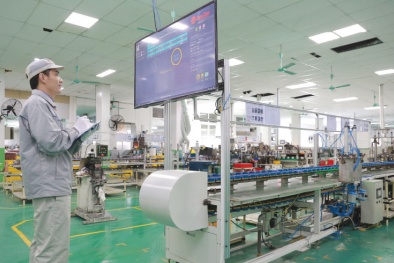 Gia tăng hàm lượng khoa học trong sản phẩm - chìa khóa cho phát triển bền vững 