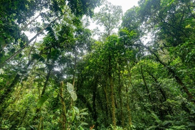 ISO công bố tiêu chuẩn quốc tế về đa dạng sinh học