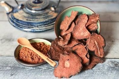 Phát hiện vị thuốc cổ truyền Hà thủ ô đỏ vi phạm chất lượng mức độ 2